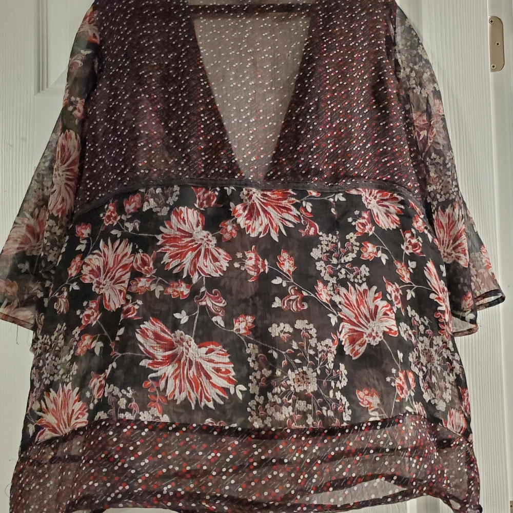 Sheer Blouse - image 4